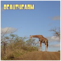 toe b beautyfarm
