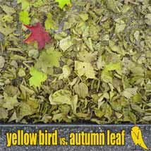 yellowbird vs autumnleaf is it right